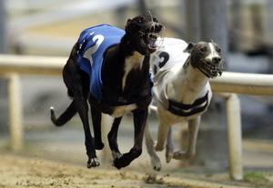 Henlow is host for Sunday's live RPGTV action